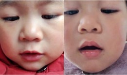 萌娃独家爆料视频大全集,视频大全集精彩瞬间回顾